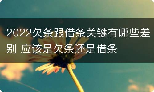 2022欠条跟借条关键有哪些差别 应该是欠条还是借条