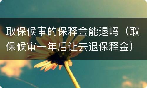取保候审的保释金能退吗（取保候审一年后让去退保释金）