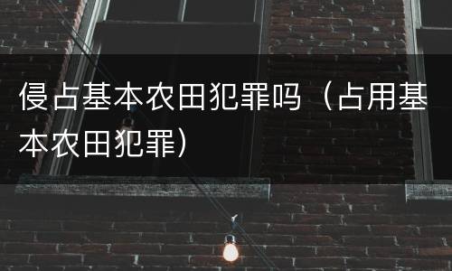 侵占基本农田犯罪吗（占用基本农田犯罪）