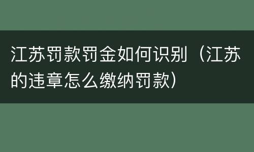 江苏罚款罚金如何识别（江苏的违章怎么缴纳罚款）