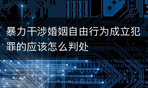 暴力干涉婚姻自由行为成立犯罪的应该怎么判处