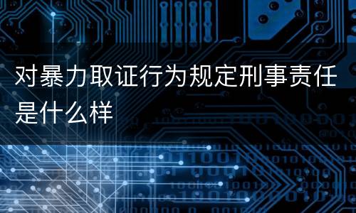 对暴力取证行为规定刑事责任是什么样