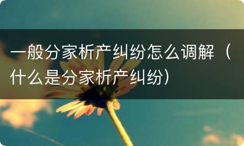 一般分家析产纠纷怎么调解（什么是分家析产纠纷）