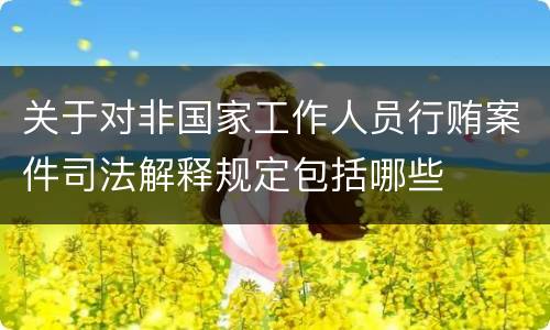 关于对非国家工作人员行贿案件司法解释规定包括哪些