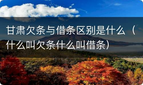 甘肃欠条与借条区别是什么（什么叫欠条什么叫借条）