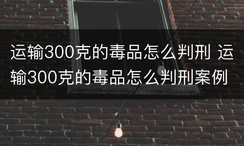 运输300克的毒品怎么判刑 运输300克的毒品怎么判刑案例