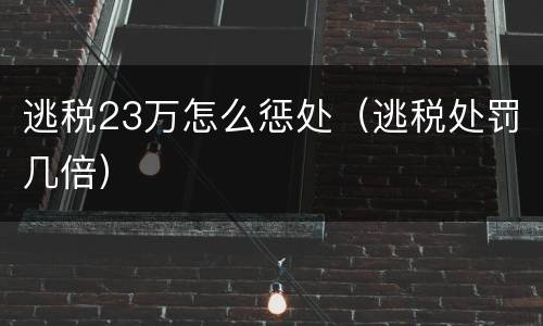 逃税23万怎么惩处（逃税处罚几倍）