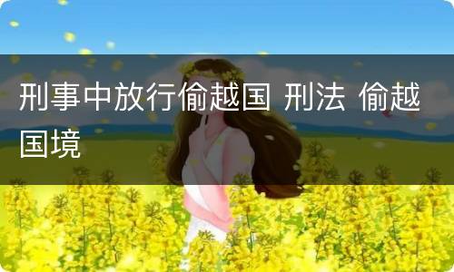刑事中放行偷越国 刑法 偷越国境