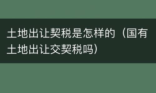 土地出让契税是怎样的（国有土地出让交契税吗）