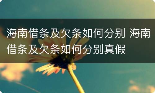 海南借条及欠条如何分别 海南借条及欠条如何分别真假