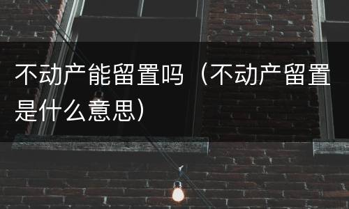 不动产能留置吗（不动产留置是什么意思）