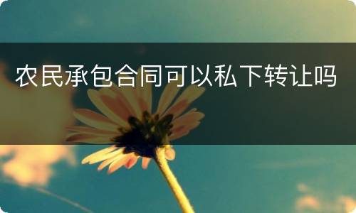 农民承包合同可以私下转让吗
