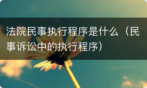 法院民事执行程序是什么（民事诉讼中的执行程序）