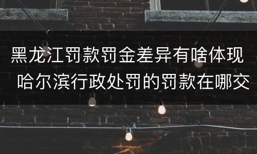黑龙江罚款罚金差异有啥体现 哈尔滨行政处罚的罚款在哪交