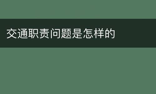 交通职责问题是怎样的