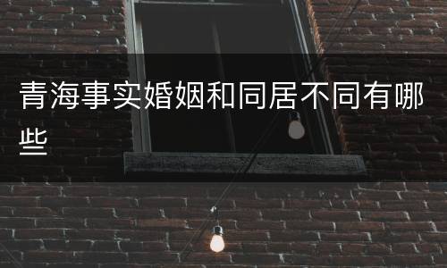 青海事实婚姻和同居不同有哪些