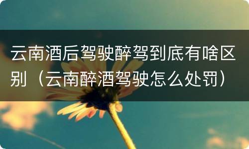 云南酒后驾驶醉驾到底有啥区别（云南醉酒驾驶怎么处罚）
