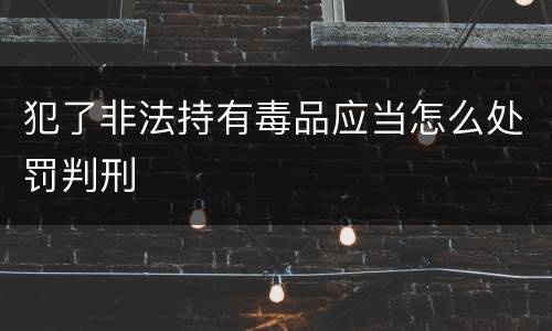 犯了非法持有毒品应当怎么处罚判刑