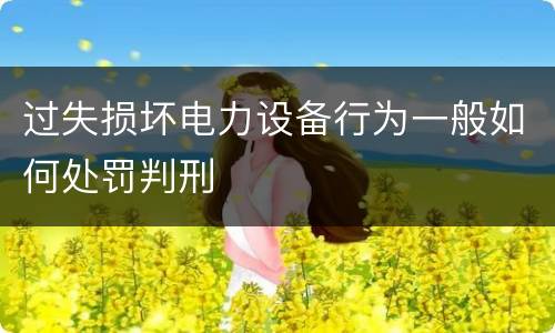 过失损坏电力设备行为一般如何处罚判刑