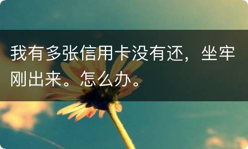 我有多张信用卡没有还，坐牢刚出来。怎么办。