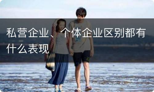 私营企业、个体企业区别都有什么表现