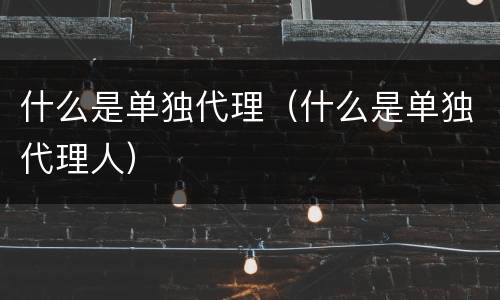 什么是单独代理（什么是单独代理人）