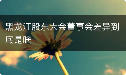 黑龙江股东大会董事会差异到底是啥