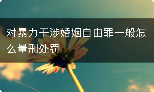 对暴力干涉婚姻自由罪一般怎么量刑处罚