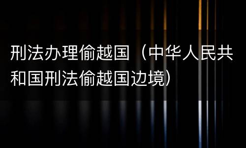 刑法办理偷越国（中华人民共和国刑法偷越国边境）