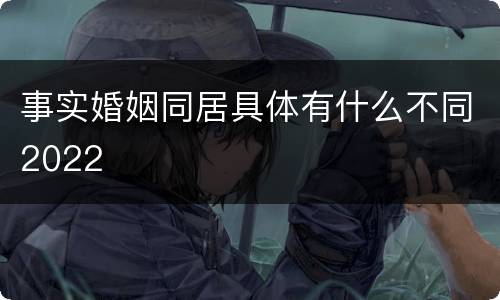 事实婚姻同居具体有什么不同2022
