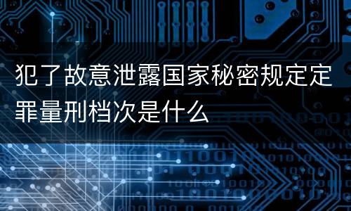 犯了故意泄露国家秘密规定定罪量刑档次是什么