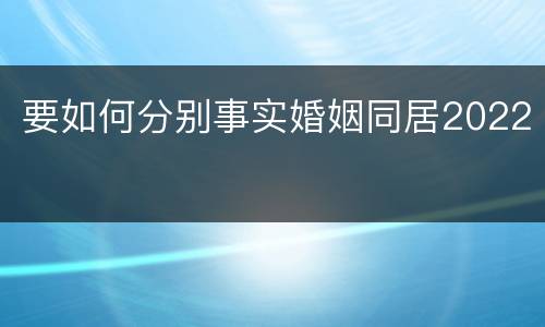 要如何分别事实婚姻同居2022
