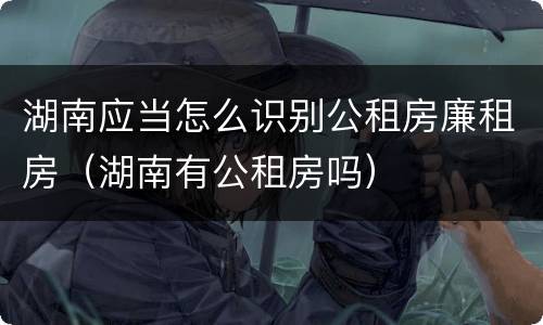 湖南应当怎么识别公租房廉租房（湖南有公租房吗）