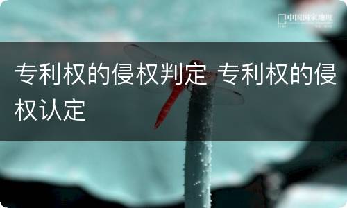 专利权的侵权判定 专利权的侵权认定