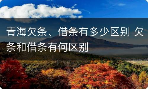 青海欠条、借条有多少区别 欠条和借条有何区别