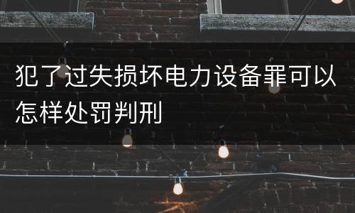犯了过失损坏电力设备罪可以怎样处罚判刑