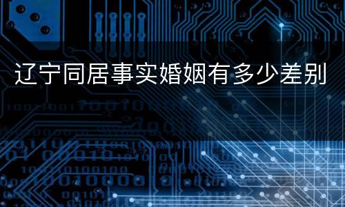 辽宁同居事实婚姻有多少差别