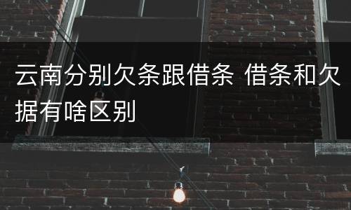 云南分别欠条跟借条 借条和欠据有啥区别