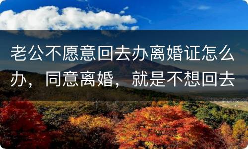 老公不愿意回去办离婚证怎么办，同意离婚，就是不想回去，该怎么办