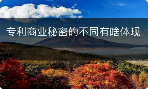 专利商业秘密的不同有啥体现
