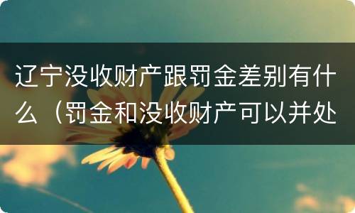 辽宁没收财产跟罚金差别有什么（罚金和没收财产可以并处吗）