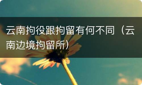 云南拘役跟拘留有何不同（云南边境拘留所）