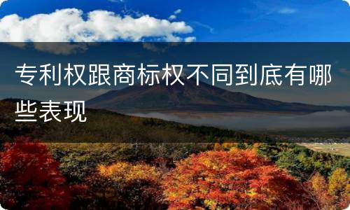 专利权跟商标权不同到底有哪些表现