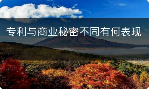 专利与商业秘密不同有何表现