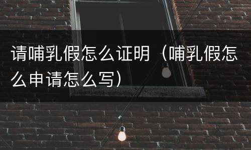 请哺乳假怎么证明（哺乳假怎么申请怎么写）