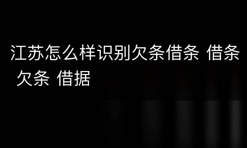江苏怎么样识别欠条借条 借条 欠条 借据