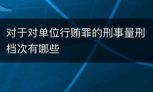 对于对单位行贿罪的刑事量刑档次有哪些