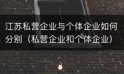 江苏私营企业与个体企业如何分别（私营企业和个体企业）