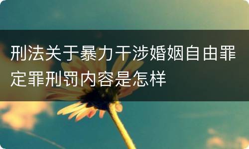 刑法关于暴力干涉婚姻自由罪定罪刑罚内容是怎样