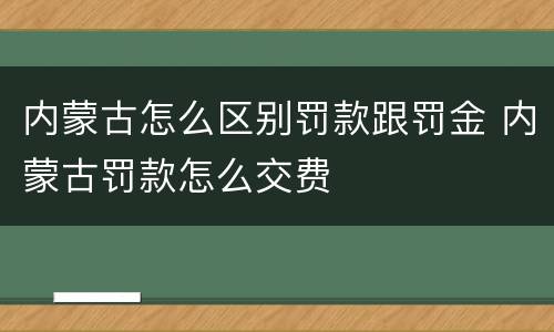 内蒙古怎么区别罚款跟罚金 内蒙古罚款怎么交费